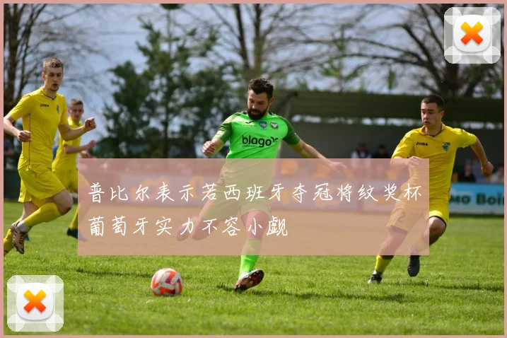 普比尔表示若西班牙夺冠将纹奖杯葡萄牙实力不容小觑